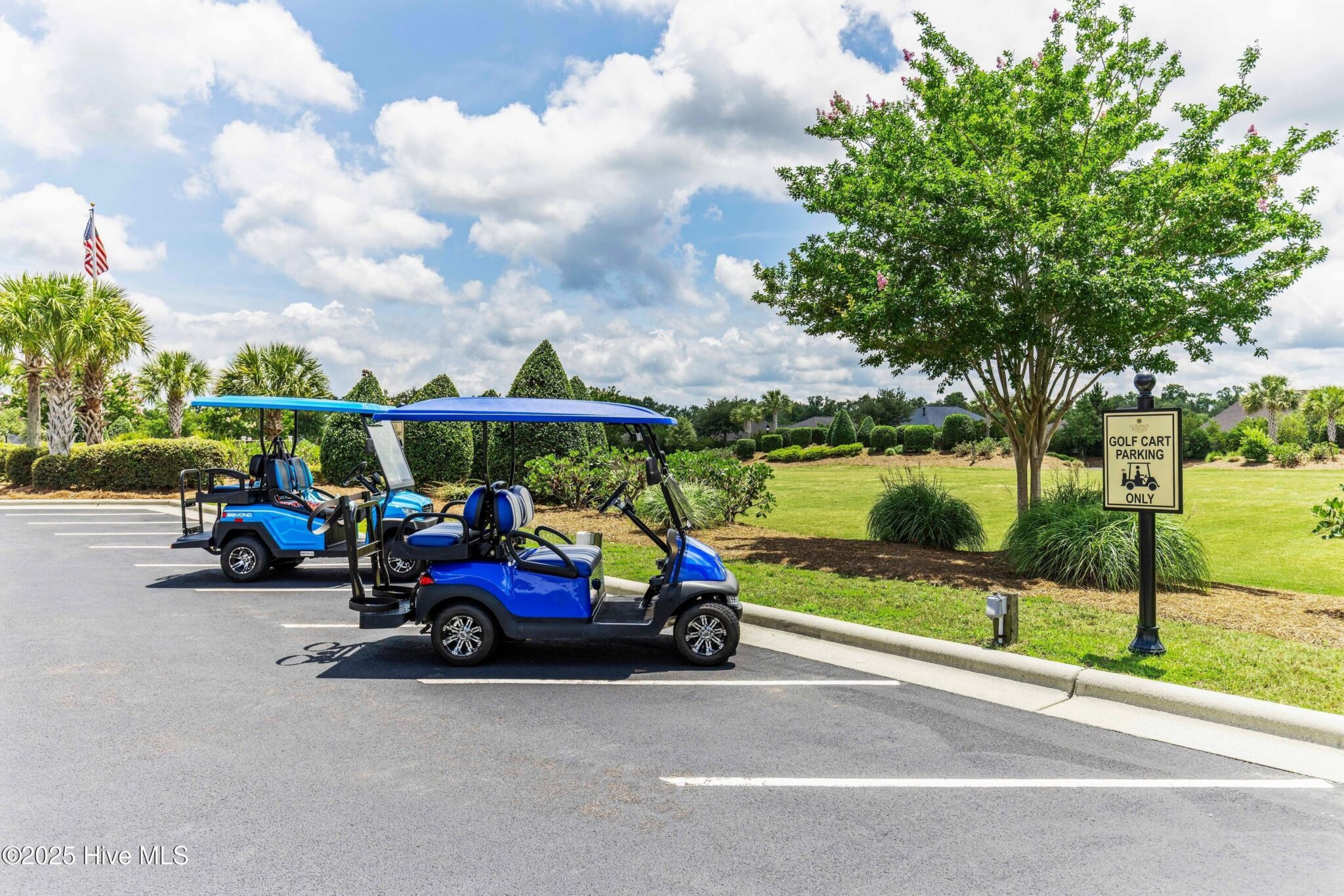 golf cart community